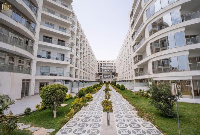 62641457 - صورة العقار 2