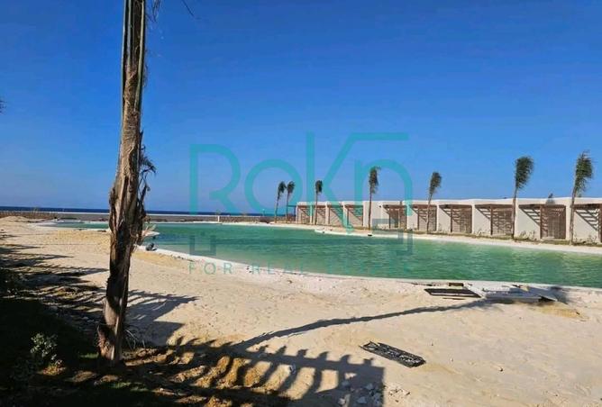 87519145 - صورة العقار 2