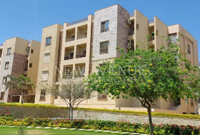 118803245 - Property Image 3