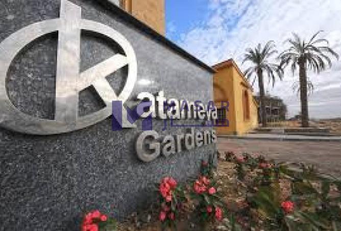 8553943 - Property Image 2