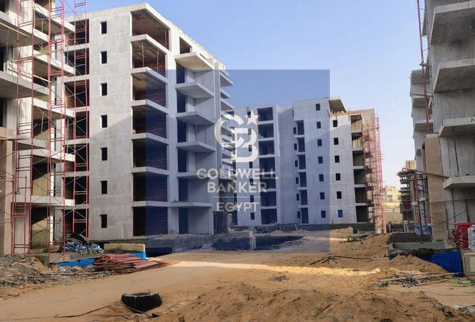 64393205 - Property Image 3