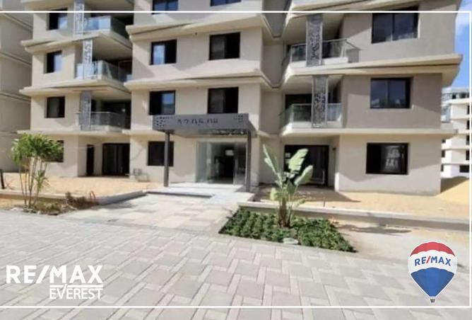 8663704 - Property Image 3