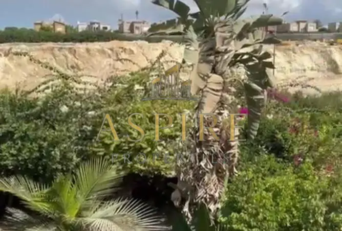 118799556 - صورة العقار 3