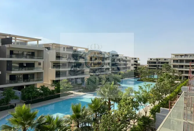 116490335 - Property Image 3
