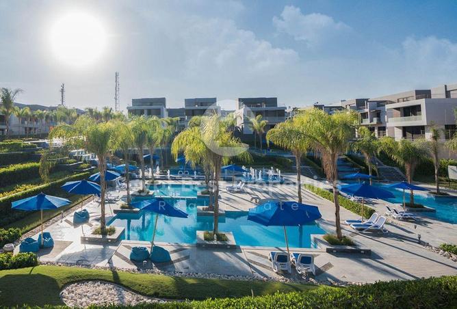 8561624 - Property Image 2