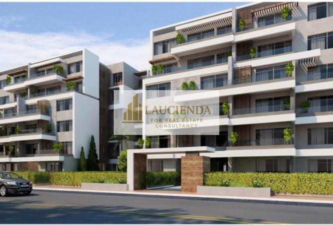 58253134 - Property Image 2