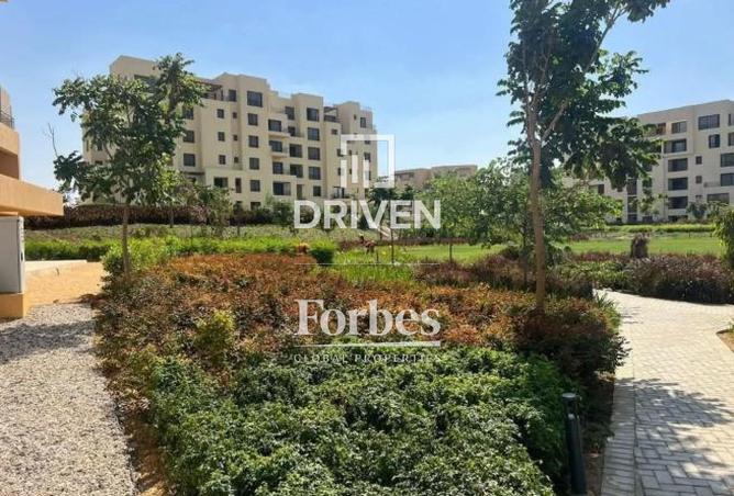 57484535 - صورة العقار 3