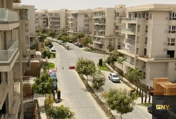 118811355 - Property Image 3