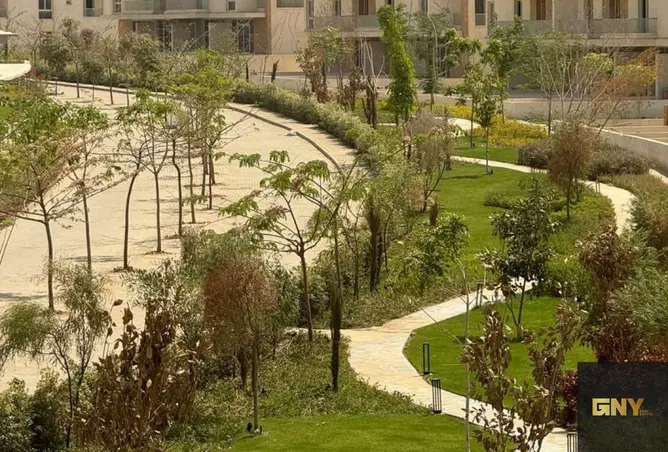 118811355 - Property Image 2
