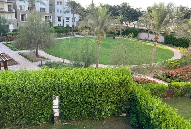 114884232 - Property Image 2