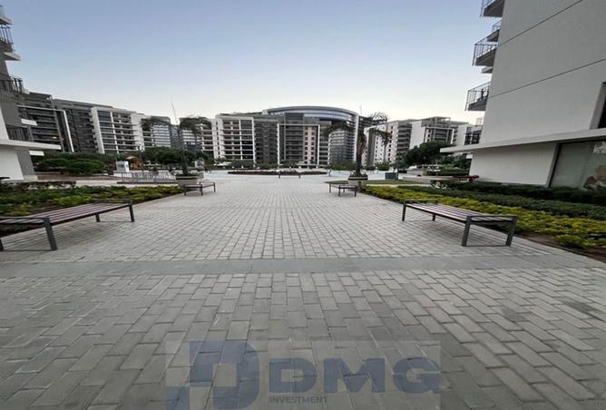 104877551 - صورة العقار 3