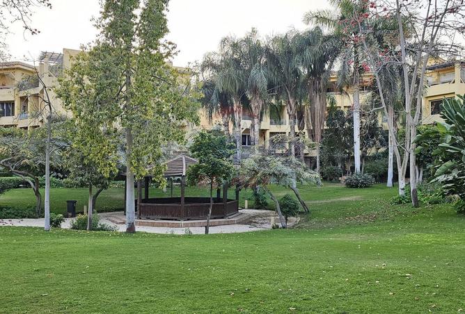 70098841 - Property Image 3