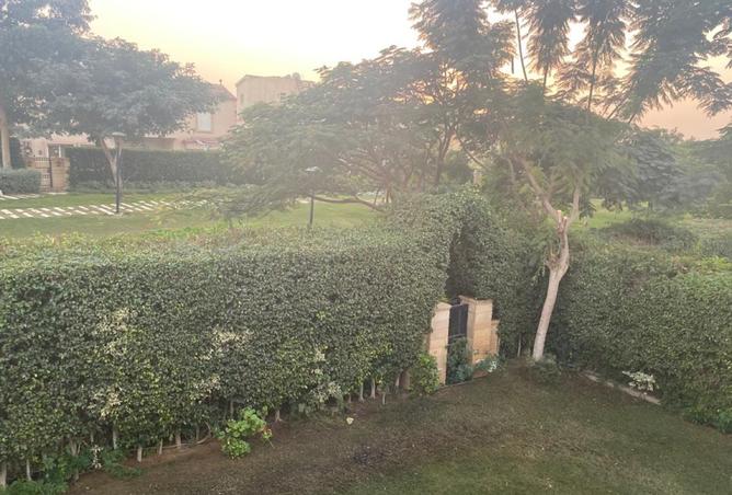 100646021 - صورة العقار 2
