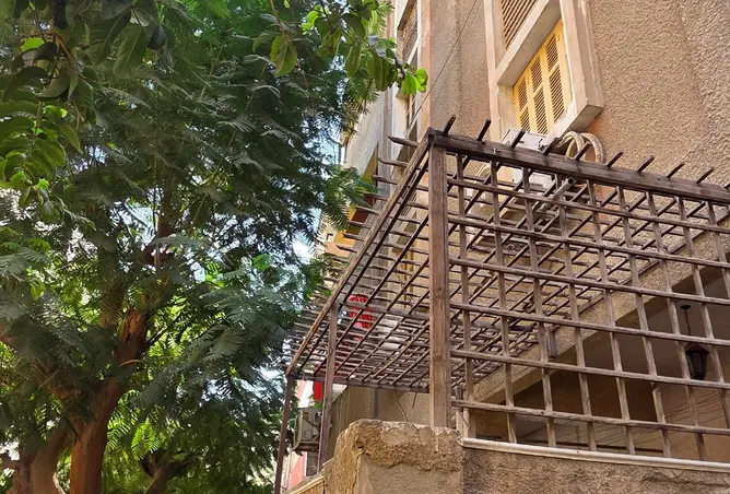 113817953 - صورة العقار 3