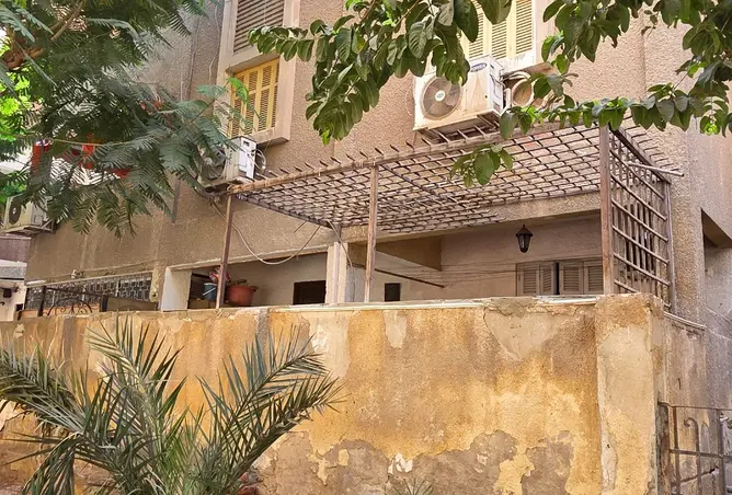 113817953 - صورة العقار 2
