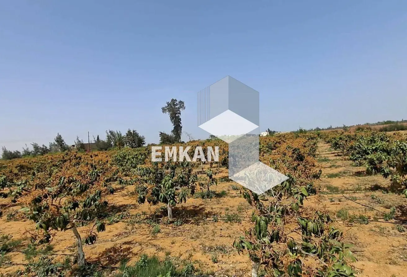 101487722 - Property Main Image