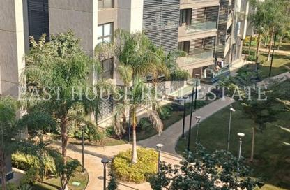 Apartment - 3 Bedrooms - 2 Bathrooms for rent in Privado - Madinaty - Cairo