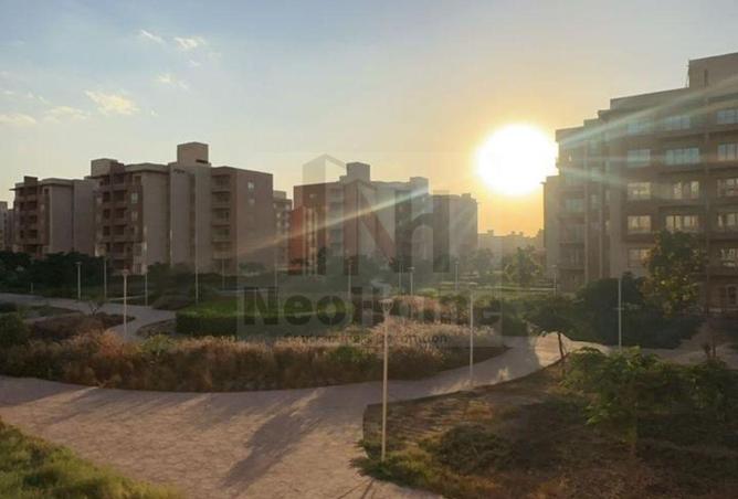 8506347 - Property Image 3