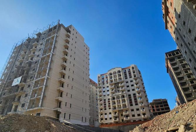 65664863 - Property Image 3