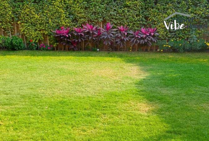 58254200 - صورة العقار 2