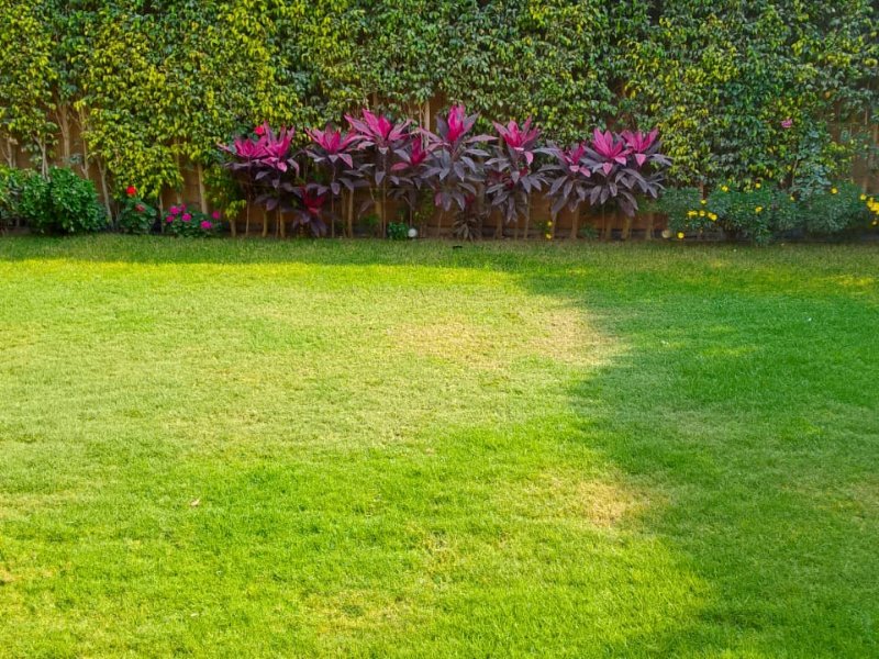 5BR Villa | Garden | Taj City thumbnail