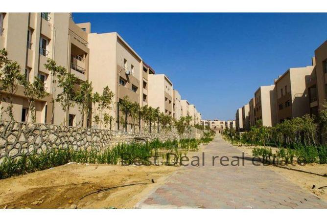 58737808 - صورة العقار 3