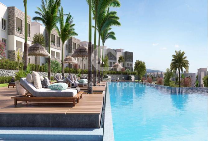 8559408 - Property Image 3