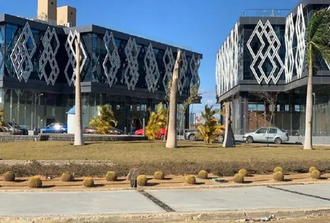 116489416 - صورة العقار 3