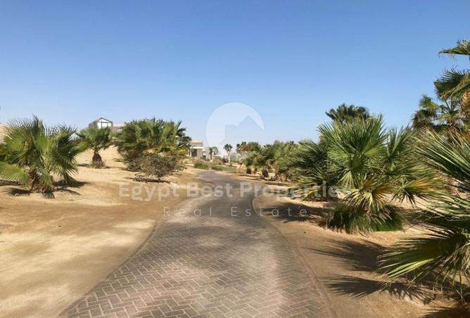 74318932 - صورة العقار 3