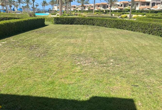 85601736 - Property Image 3