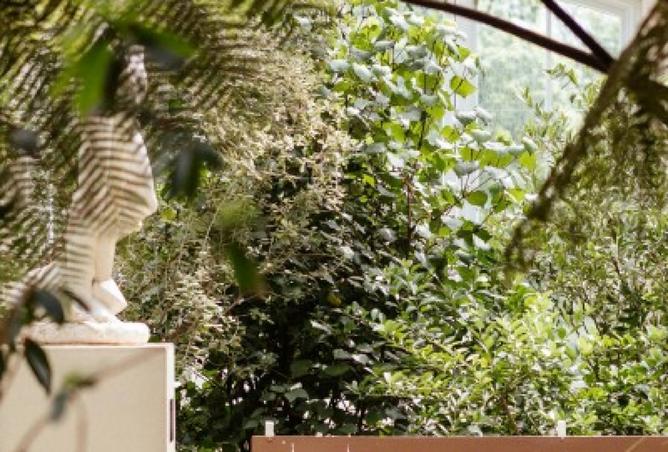 8417775 - صورة العقار 2