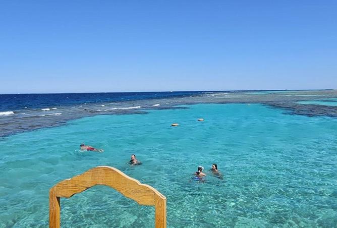 66700016 - صورة العقار 2