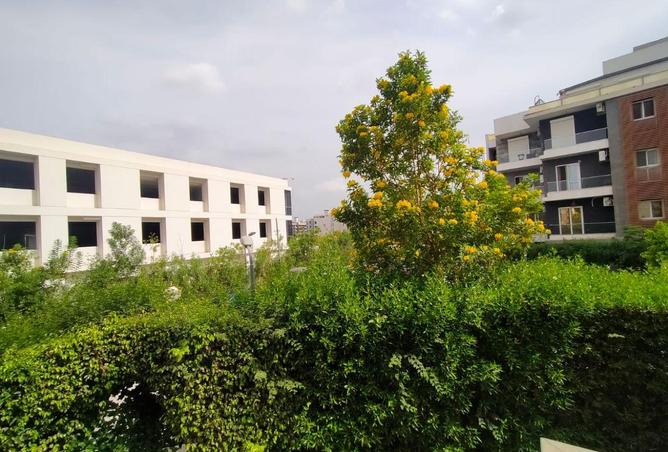 8562066 - الصورة الرئيسية للعقار