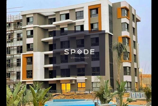 8644407 - Property Image 3