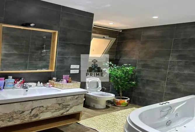 113536466 - Property Image 3