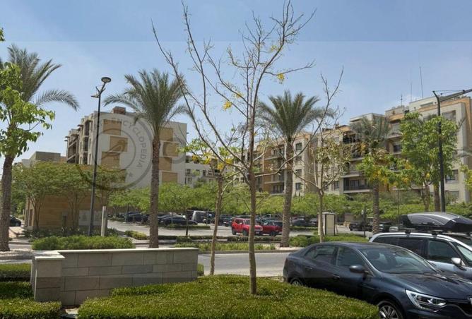 78140683 - صورة العقار 3