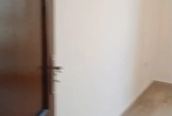 116225037 - Property Image 2