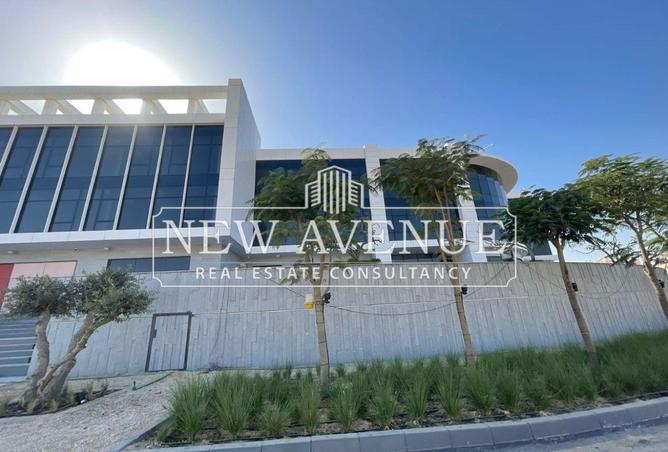 54505313 - Property Main Image