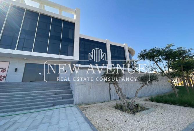 54505313 - Property Image 3