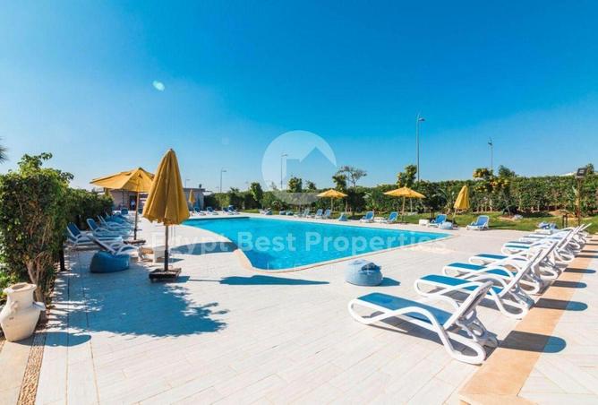 8633990 - صورة العقار 3