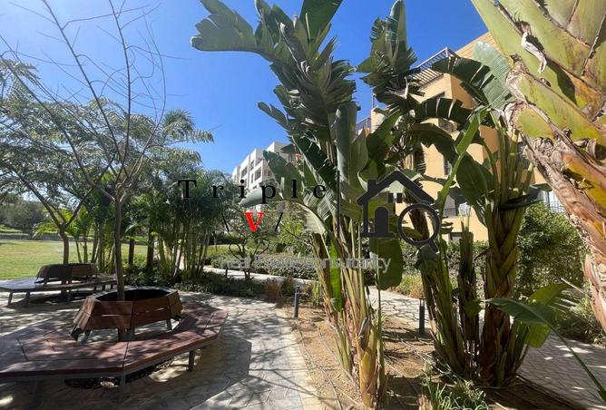 55500924 - صورة العقار 3