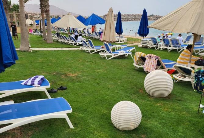 8713779 - صورة العقار 3