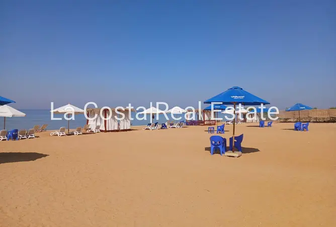 115717145 - Property Image 3