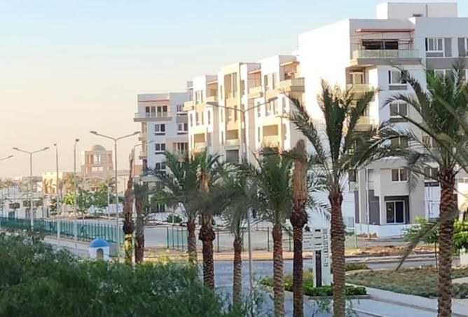 97712384 - صورة العقار 2