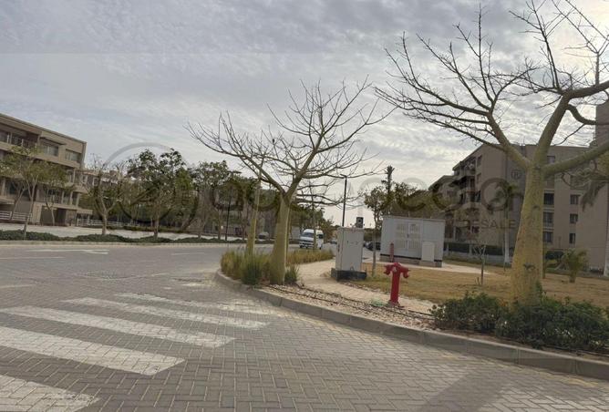 8599024 - Property Image 2