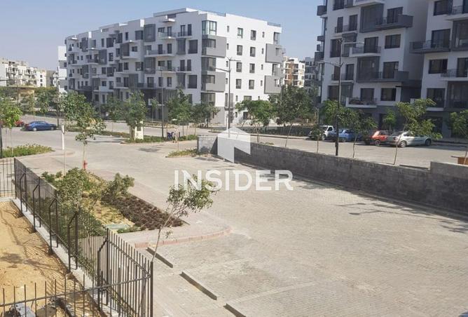 64144470 - Property Image 3