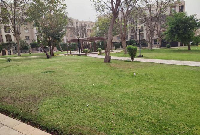 8711031 - Property Image 3