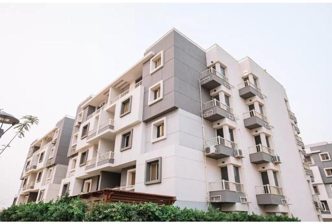 66172438 - Property Image 2