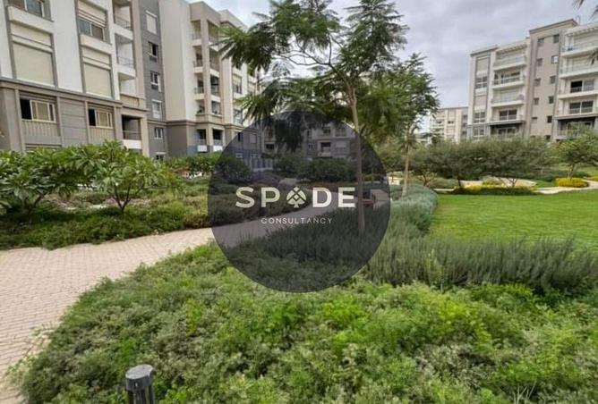 62399627 - Property Image 3