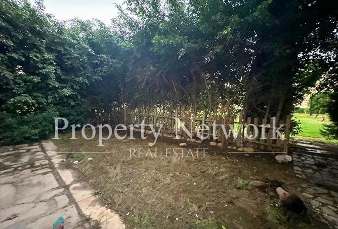 100918830 - Property Image 3